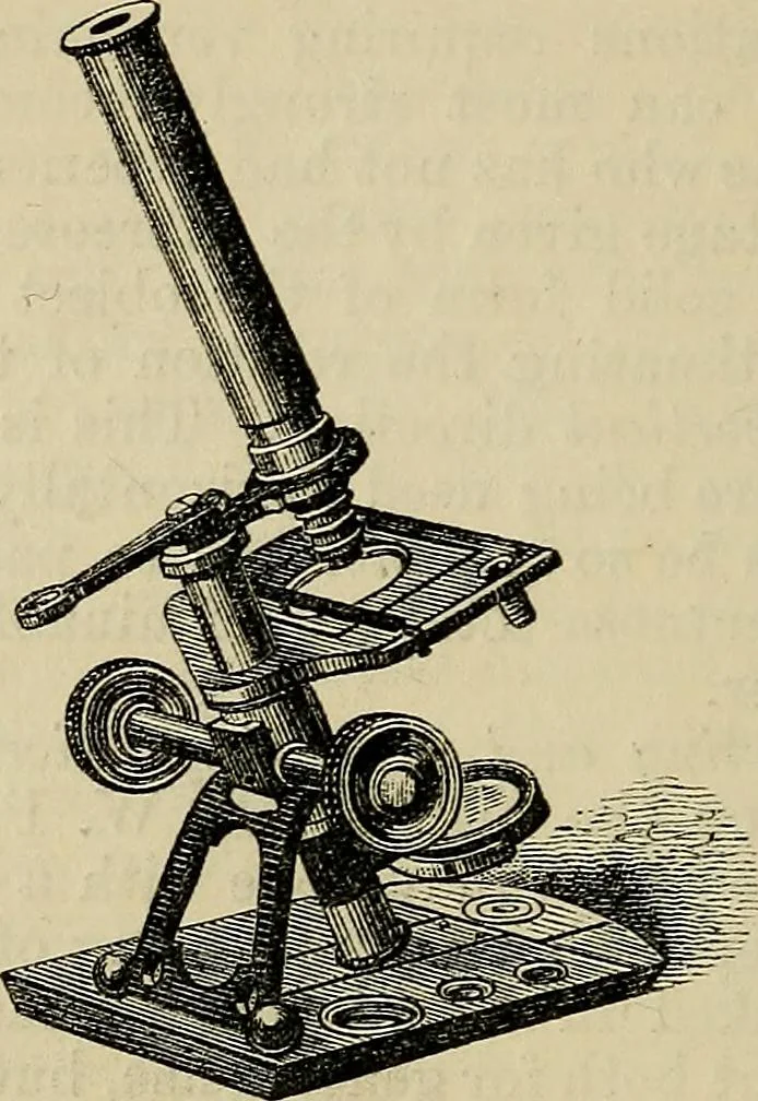 An illustration from The microscope and its revelations, 1881, leaf 105
