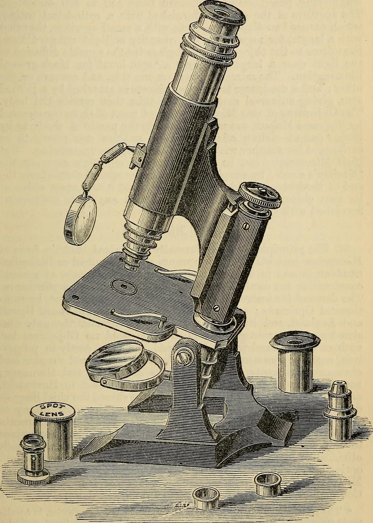 An illustration from The microscope and its revelations, 1881, leaf 110