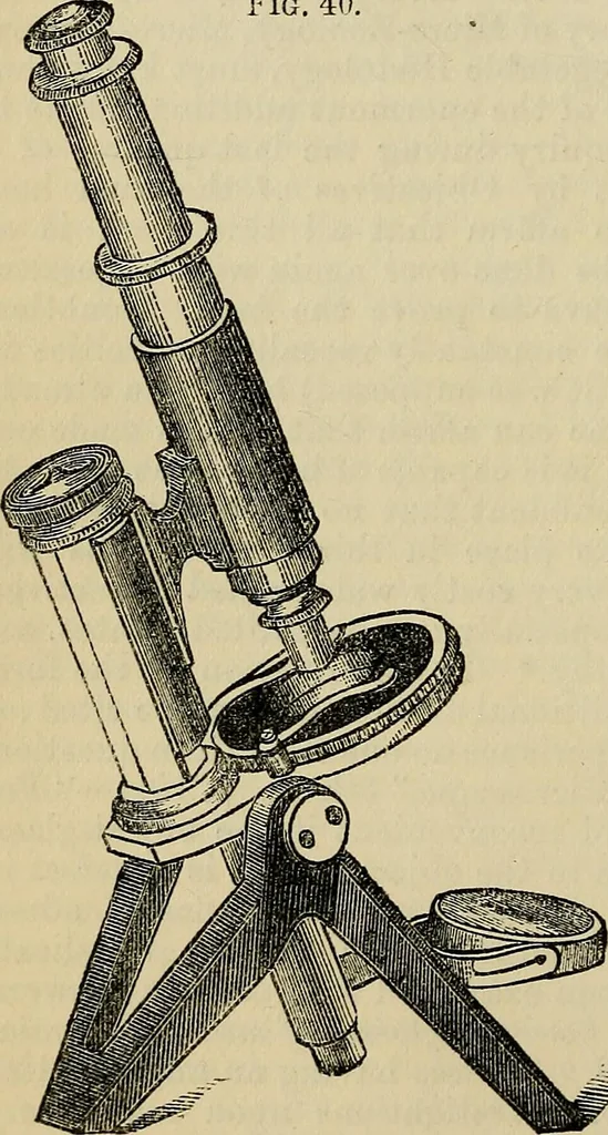 An illustration from The microscope and its revelations, 1881, leaf 115