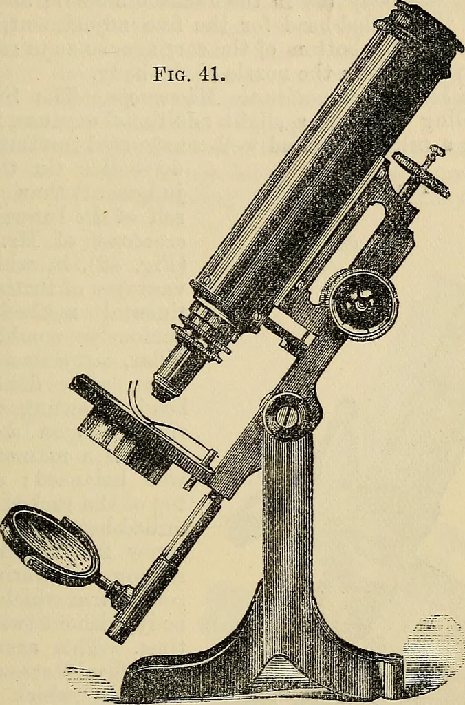 An illustration from The microscope and its revelations, 1881, leaf 116