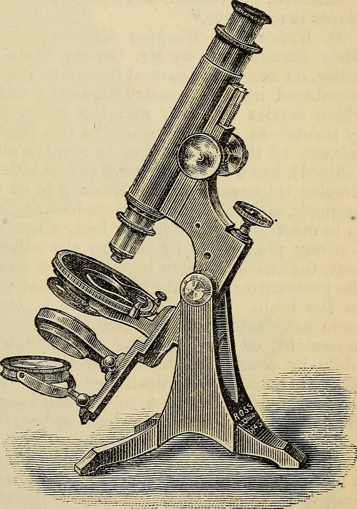 An illustration from The microscope and its revelations, 1881, leaf 118
