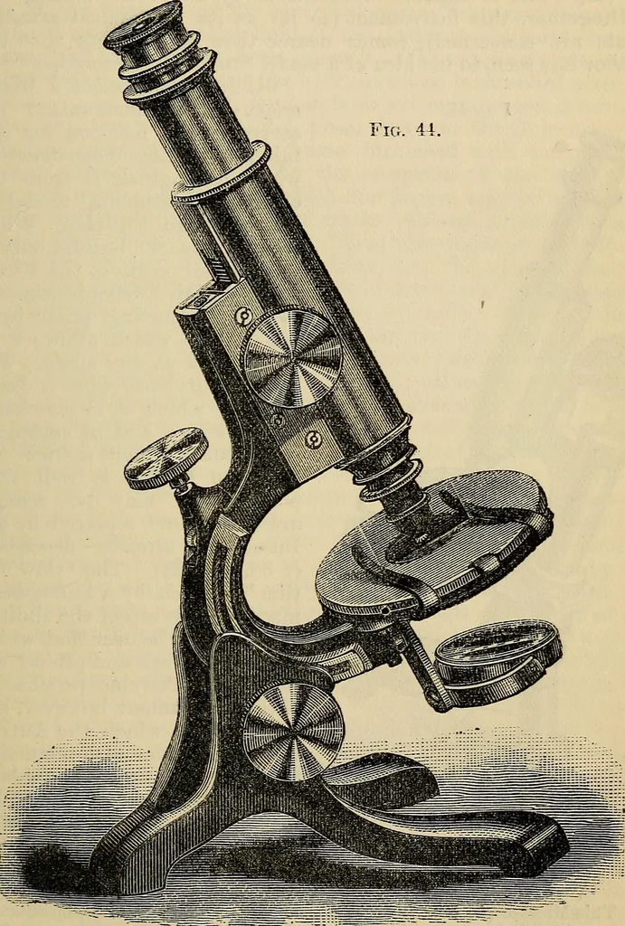 An illustration from The microscope and its revelations, 1881, leaf 120