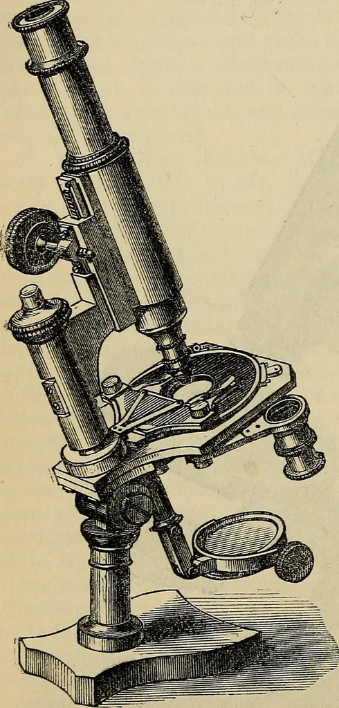 An illustration from The microscope and its revelations, 1881, leaf 121