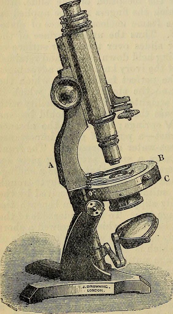 An illustration from The microscope and its revelations, 1881, leaf 123
