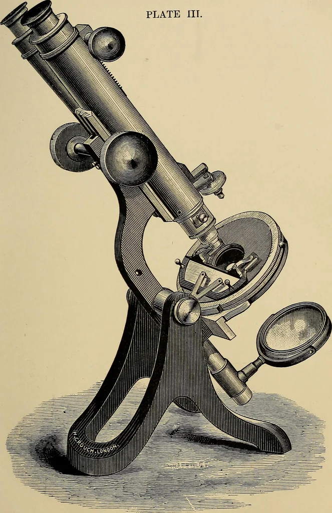 An illustration from The microscope and its revelations, 1881, leaf 124