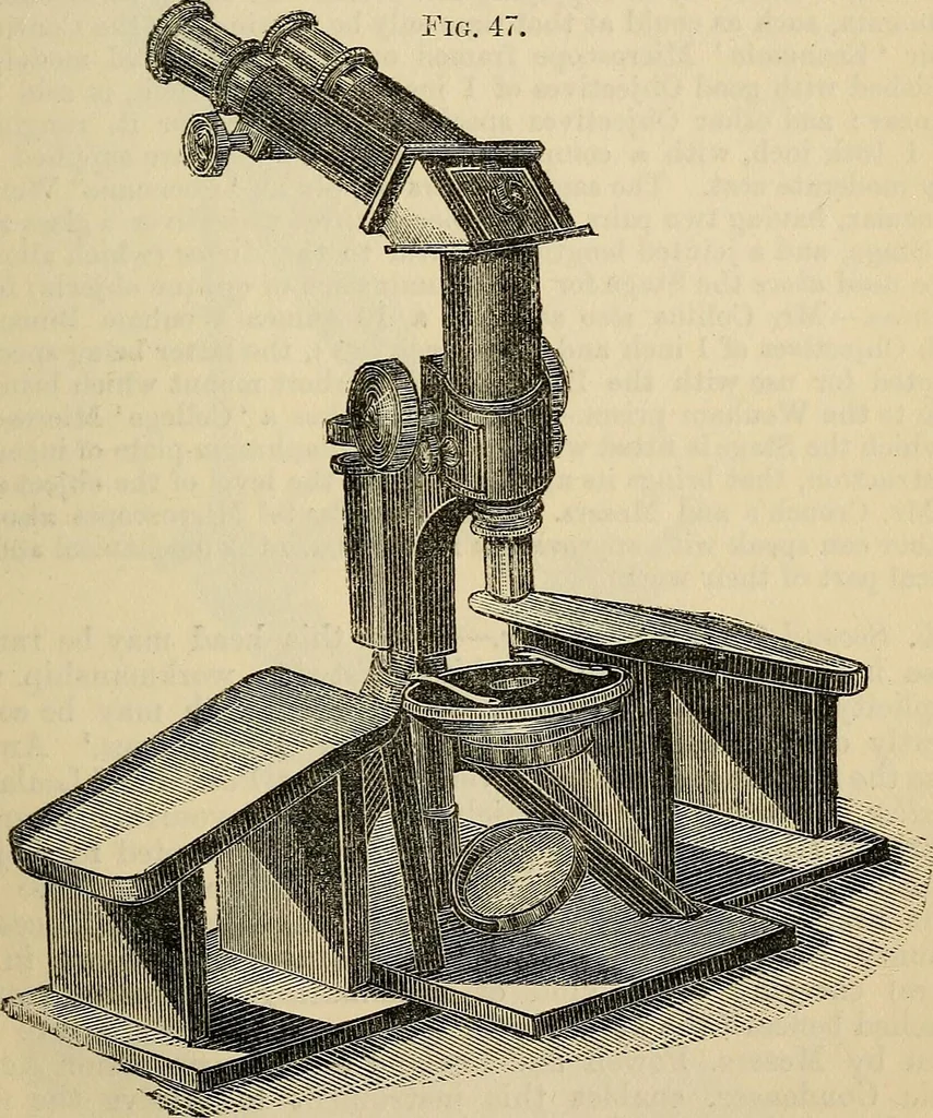 An illustration from The microscope and its revelations, 1881, leaf 126