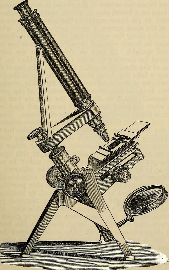 An illustration from The microscope and its revelations, 1881, leaf 128