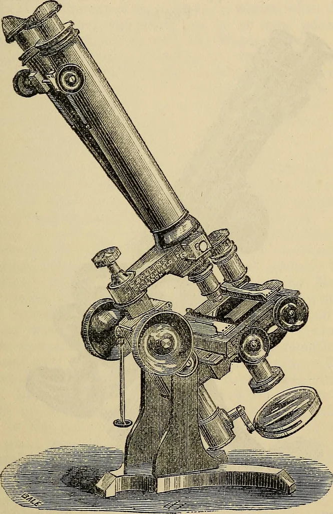 An illustration from The microscope and its revelations, 1881, leaf 132
