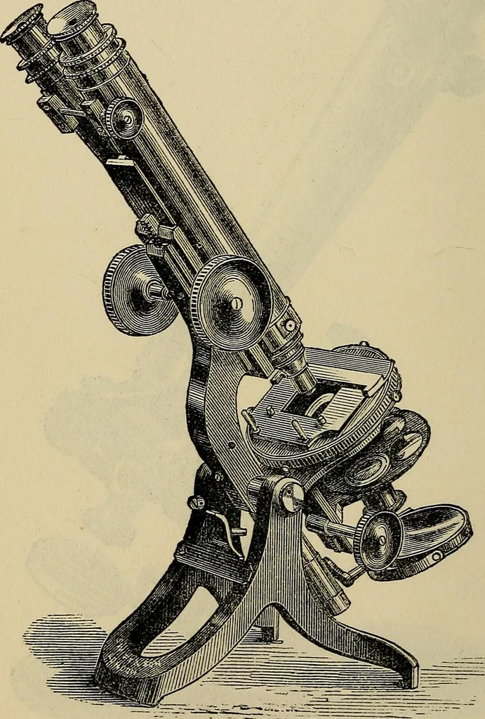 An illustration from The microscope and its revelations, 1881, leaf 133