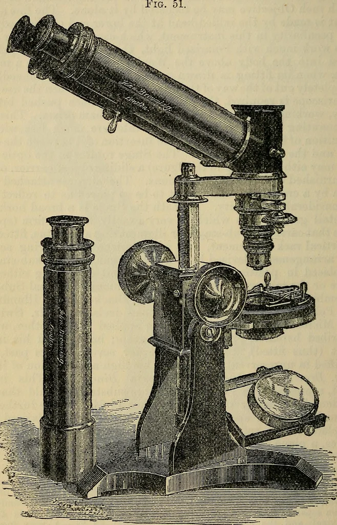 An illustration from The microscope and its revelations, 1881, leaf 135