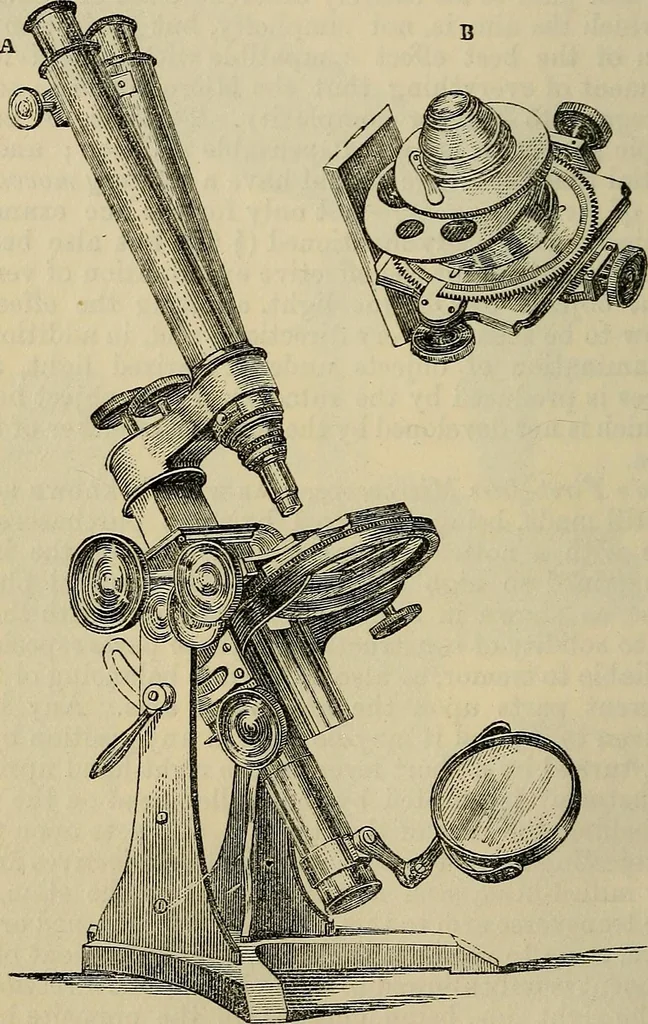 An illustration from The microscope and its revelations, 1881, leaf 137