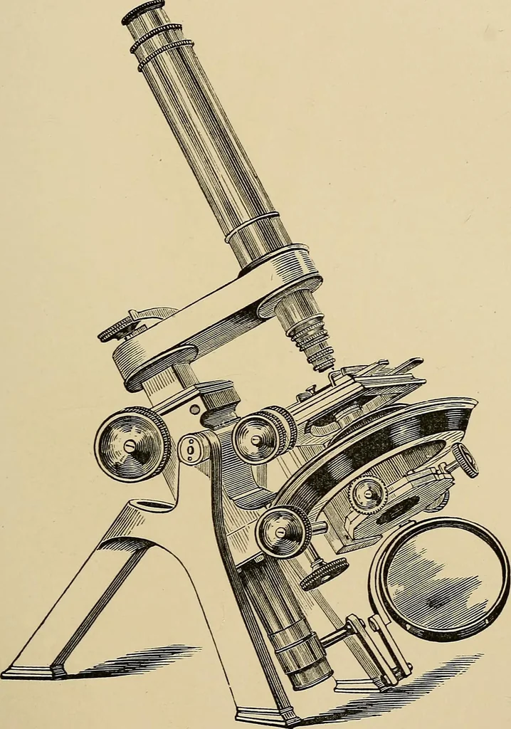 An illustration from The microscope and its revelations, 1881, leaf 144