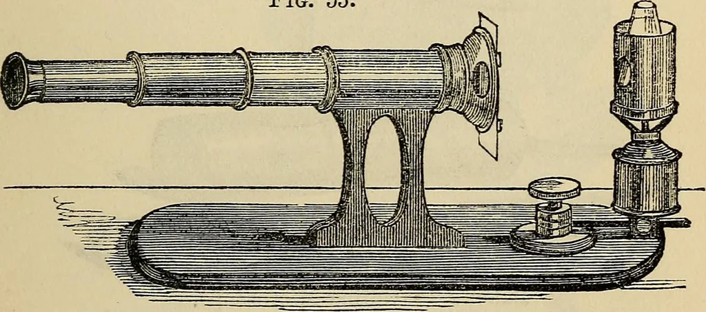 An illustration from The microscope and its revelations, 1881, leaf 148