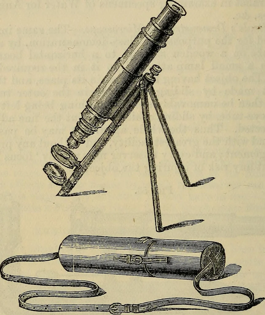 An illustration from The microscope and its revelations, 1881, leaf 149