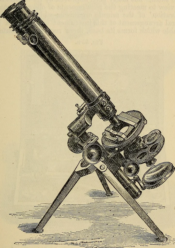 An illustration from The microscope and its revelations, 1881, leaf 150
