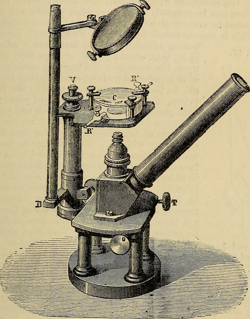 An illustration from The microscope and its revelations, 1881, leaf 152
