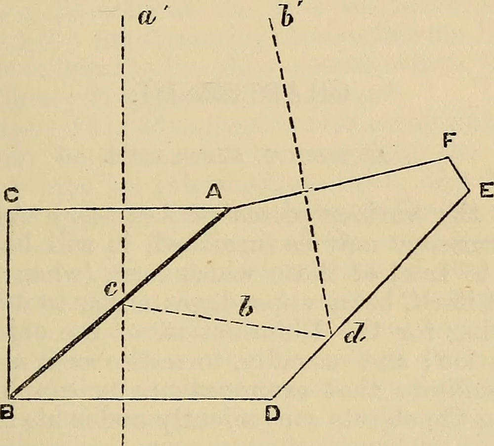 An illustration from The microscope and its revelations, 1881, leaf 154
