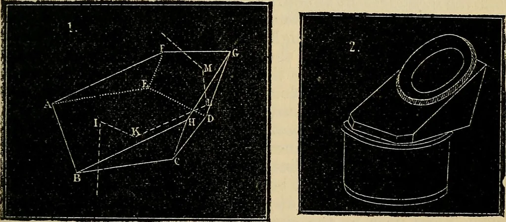 An illustration from The microscope and its revelations, 1881, leaf 158