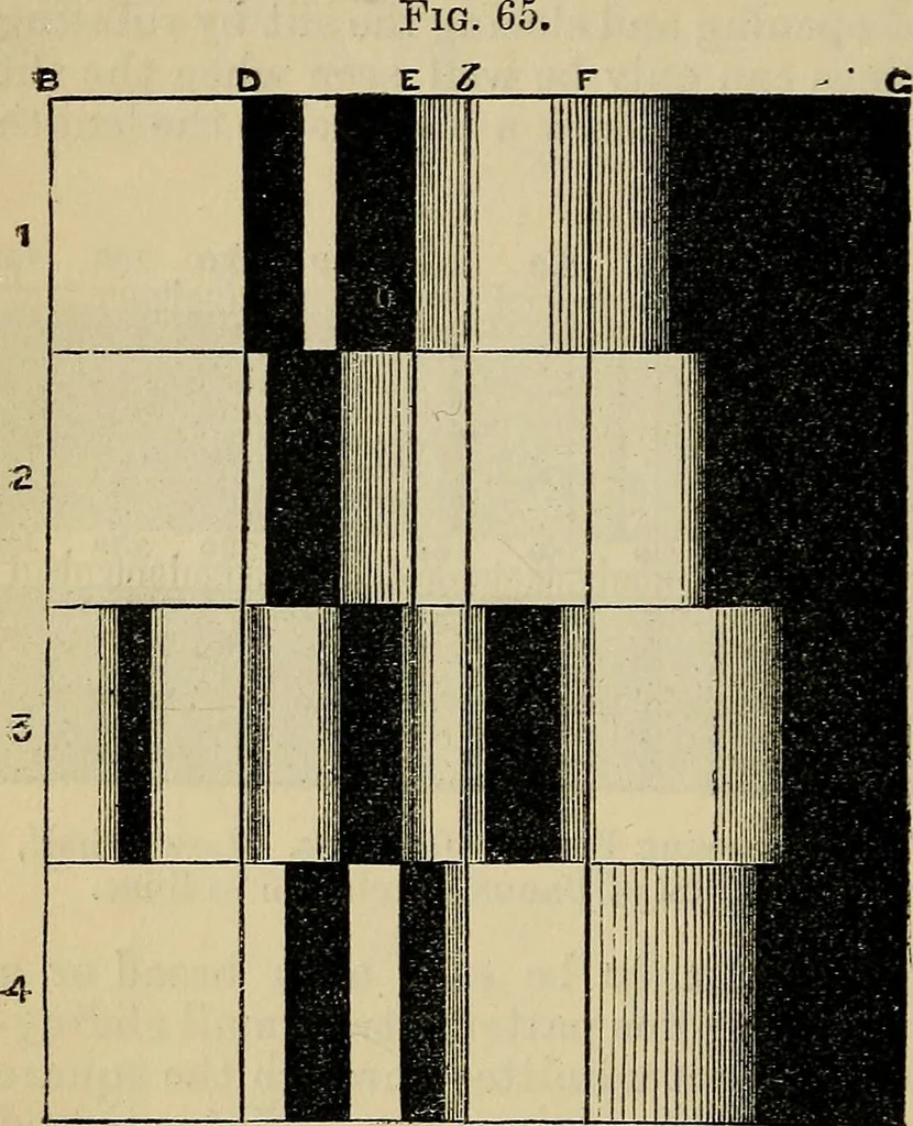 An illustration from The microscope and its revelations, 1881, leaf 163