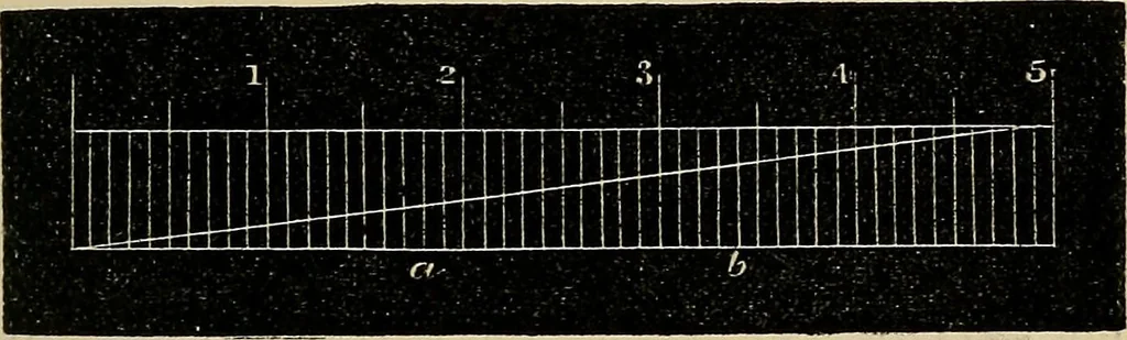 An illustration from The microscope and its revelations, 1881, leaf 166