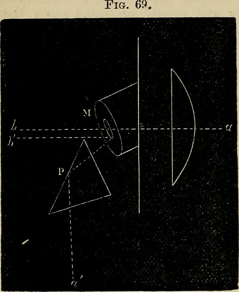 An illustration from The microscope and its revelations, 1881, leaf 169