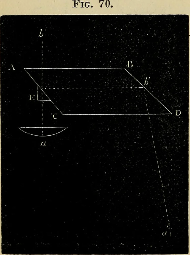 An illustration from The microscope and its revelations, 1881, leaf 169