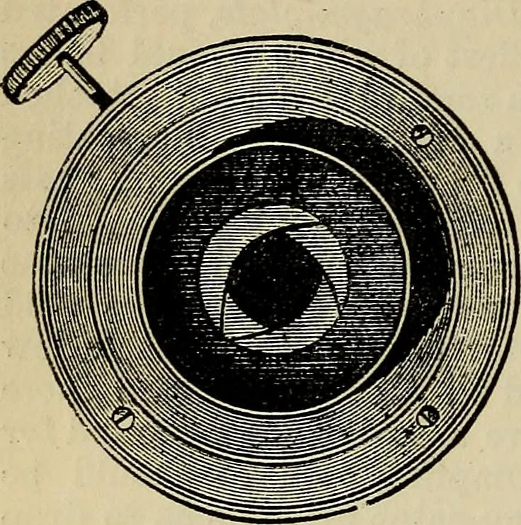 An illustration from The microscope and its revelations, 1881, leaf 175