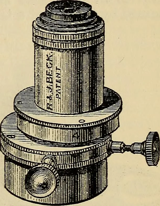 An illustration from The microscope and its revelations, 1881, leaf 176