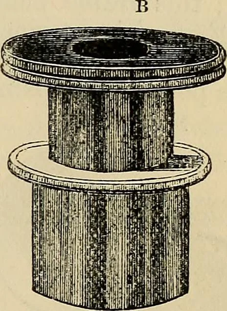 An illustration from The microscope and its revelations, 1881, leaf 186