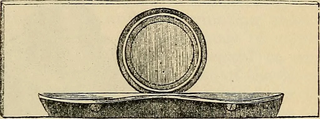 An illustration from The microscope and its revelations, 1881, leaf 188