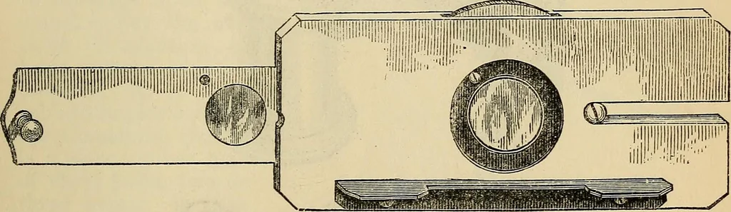 An illustration from The microscope and its revelations, 1881, leaf 188