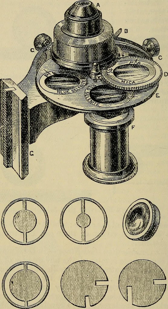 An illustration from The microscope and its revelations, 1881, leaf 189