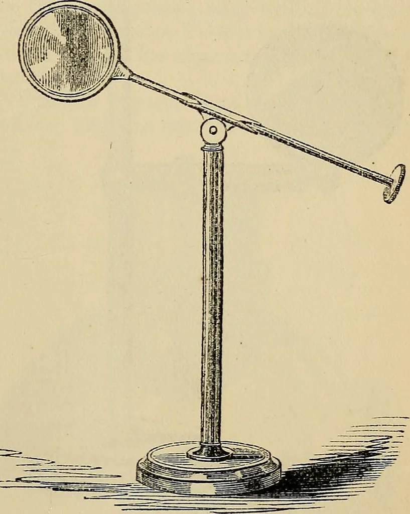 An illustration from The microscope and its revelations, 1881, leaf 190