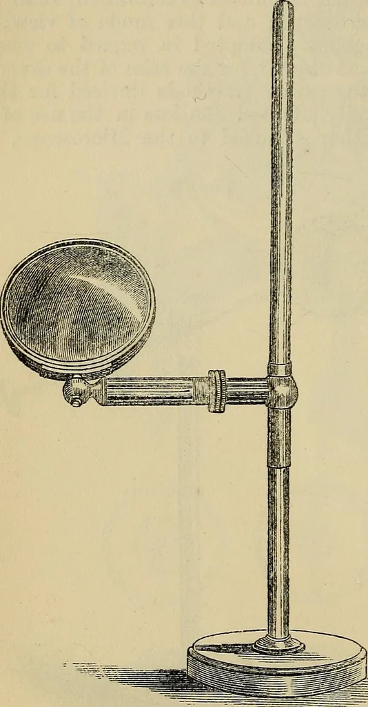 An illustration from The microscope and its revelations, 1881, leaf 191