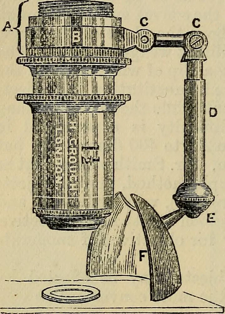 An illustration from The microscope and its revelations, 1881, leaf 193