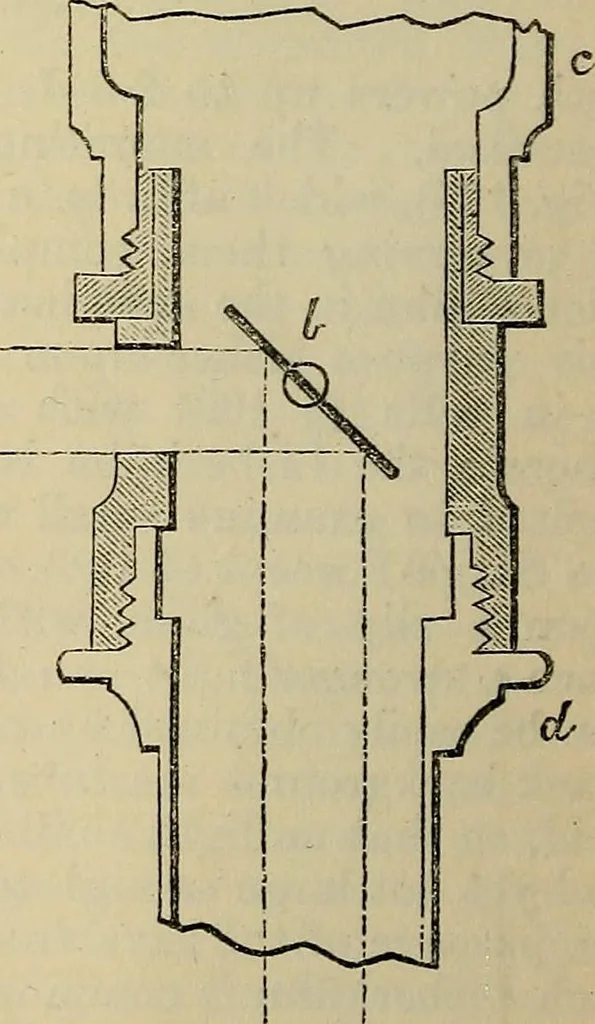 An illustration from The microscope and its revelations, 1881, leaf 195