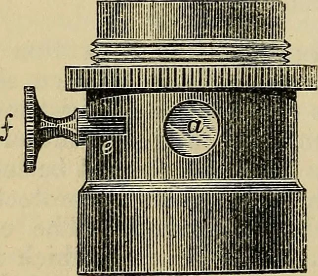 An illustration from The microscope and its revelations, 1881, leaf 195