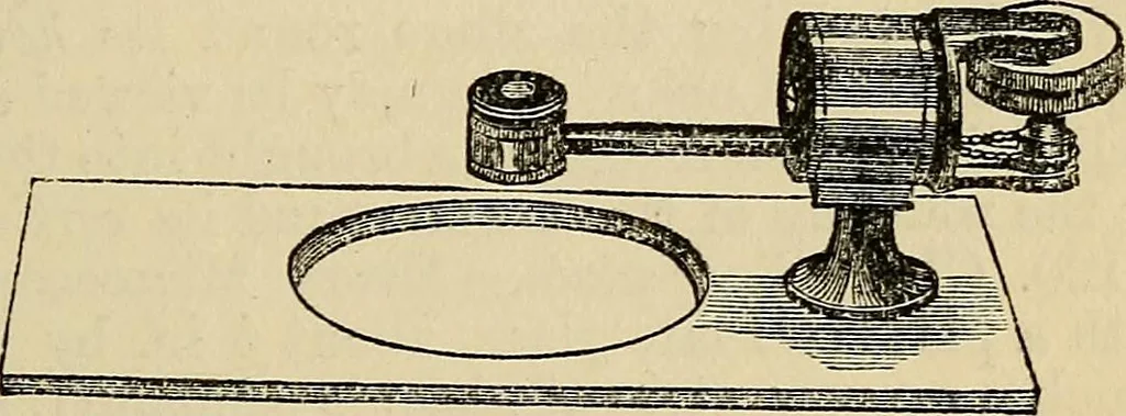 An illustration from The microscope and its revelations, 1881, leaf 198
