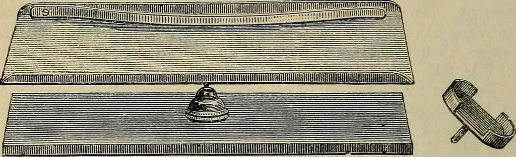 An illustration from The microscope and its revelations, 1881, leaf 199