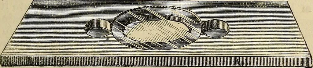An illustration from The microscope and its revelations, 1881, leaf 200