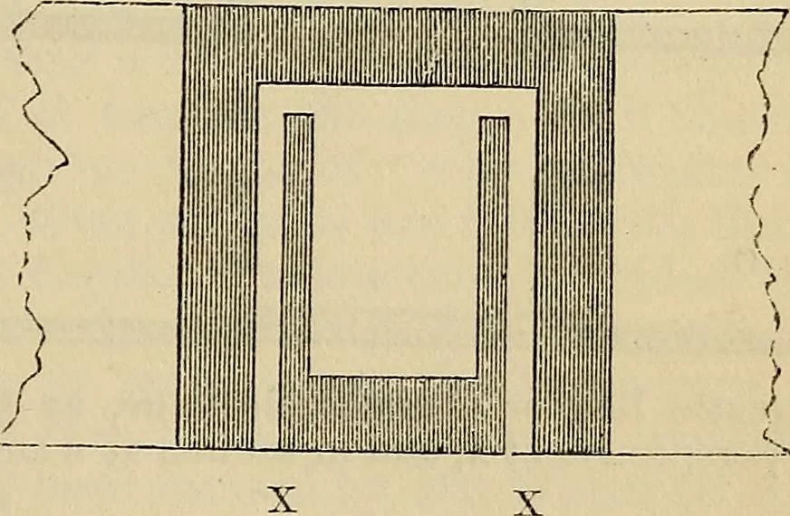 An illustration from The microscope and its revelations, 1881, leaf 200