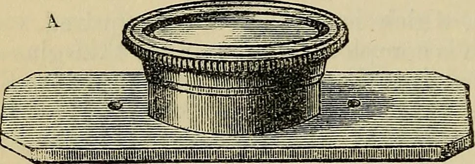 An illustration from The microscope and its revelations, 1881, leaf 201