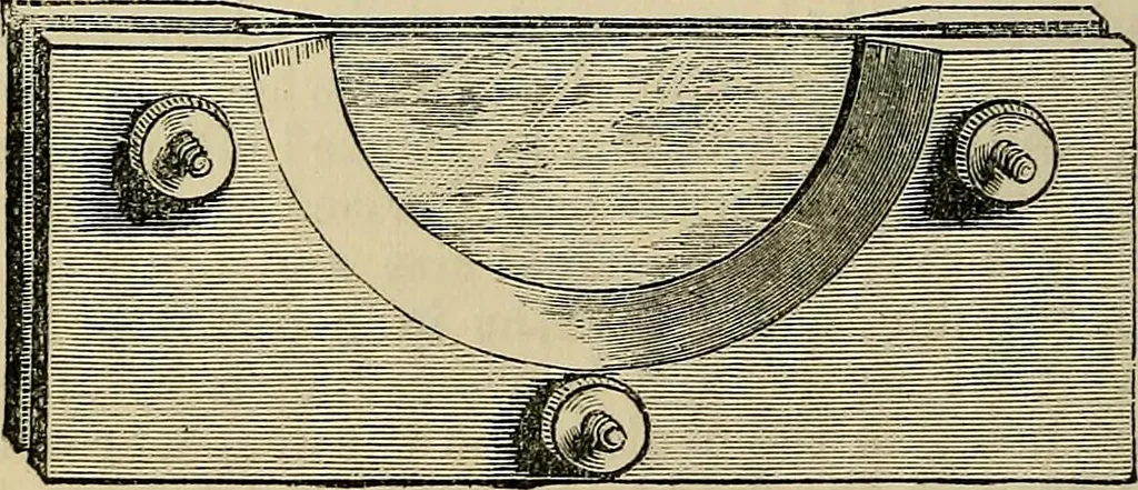 An illustration from The microscope and its revelations, 1881, leaf 203