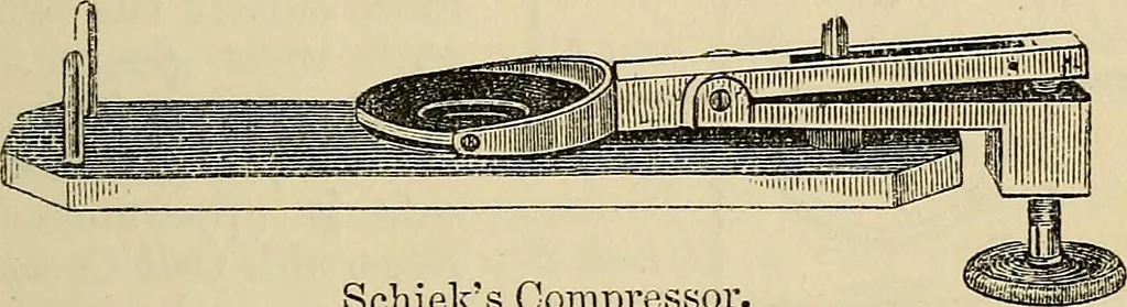 An illustration from The microscope and its revelations, 1881, leaf 204