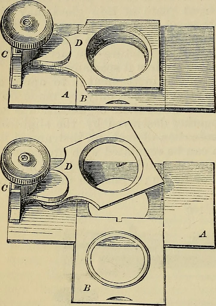 An illustration from The microscope and its revelations, 1881, leaf 205