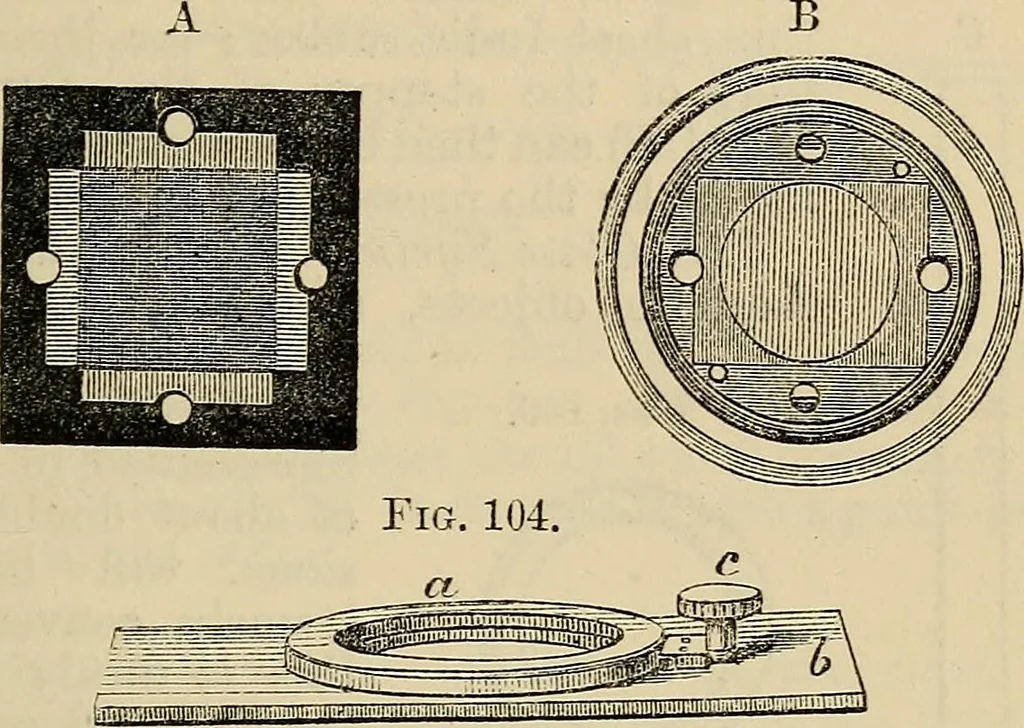 An illustration from The microscope and its revelations, 1881, leaf 206