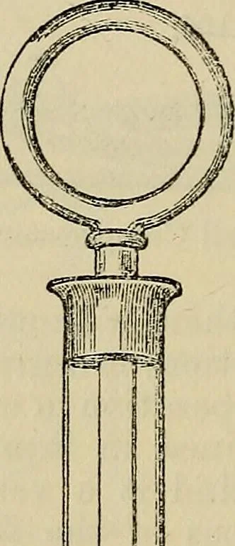 An illustration from The microscope and its revelations, 1881, leaf 207