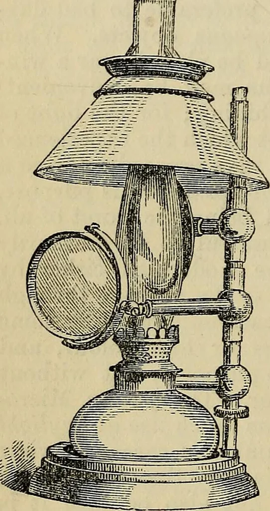 An illustration from The microscope and its revelations, 1881, leaf 211