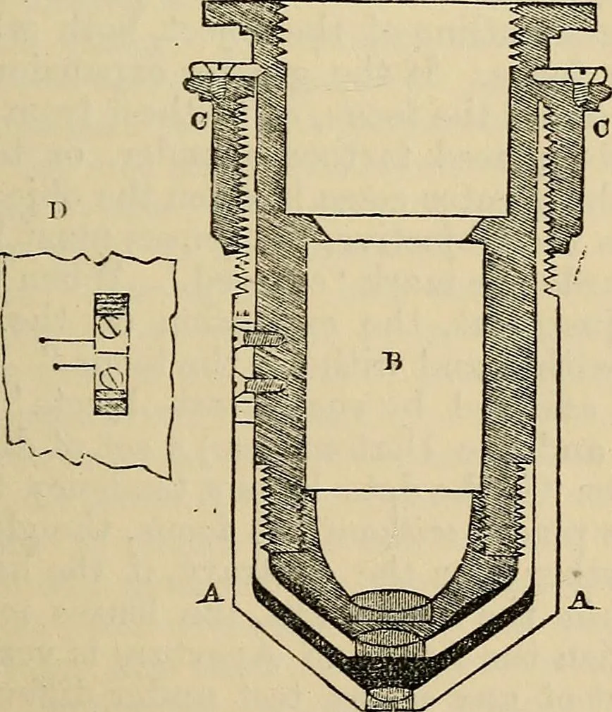 An illustration from The microscope and its revelations, 1881, leaf 220