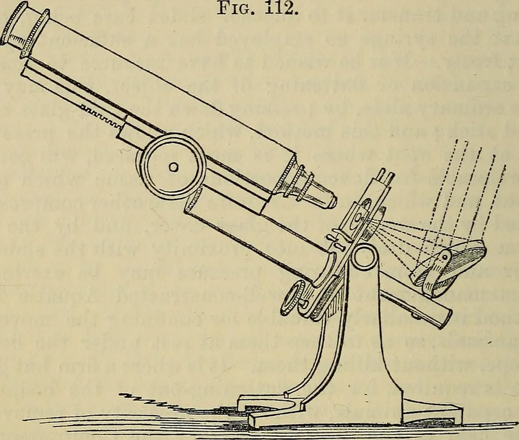 An illustration from The microscope and its revelations, 1881, leaf 225